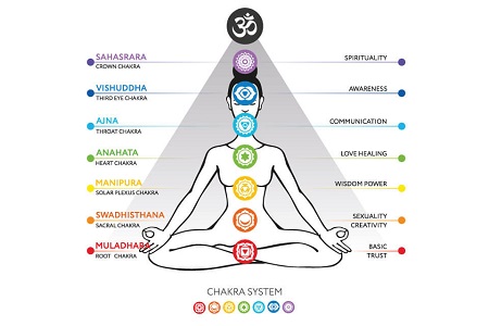 Chakra system